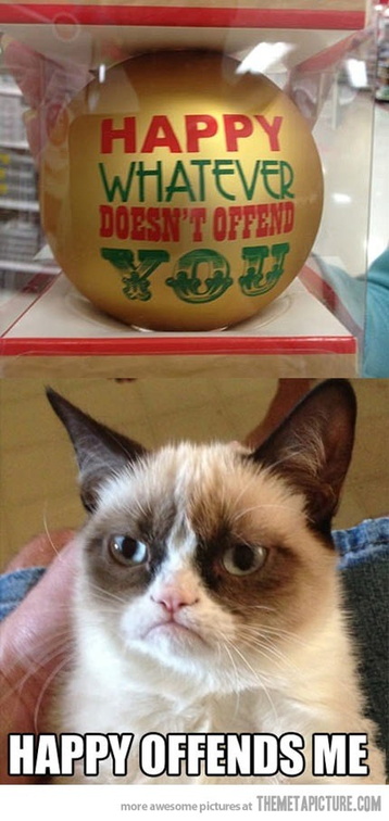 Grumpy Cat 2